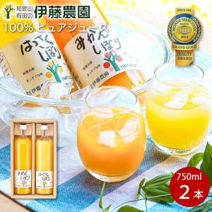 早和果樹園 C10-B飲むみかんジュースセット 10本箱セット : にっぽん