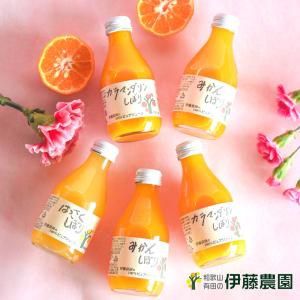 父の日 母の日ギフト 2024 みかんジュース オレンジジュース  ストレート 飲料 和歌山 180ml 5本 無添加 健康｜ito-noen