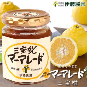 さんぽうかんマーマレード 三宝柑 140g お試し ポイント利用 みかん さんぽうかん 甘さ控えめ 国産 伊藤農園 ホワイトデー