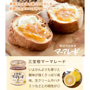 敬老の日 さんぽうかんマーマレード 三宝柑 1...の詳細画像1