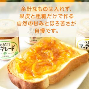 敬老の日 さんぽうかんマーマレード 三宝柑 1...の詳細画像3