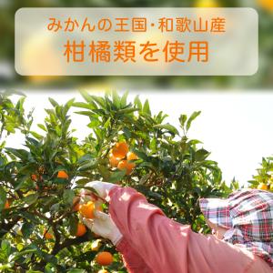 敬老の日 さんぽうかんマーマレード 三宝柑 1...の詳細画像4