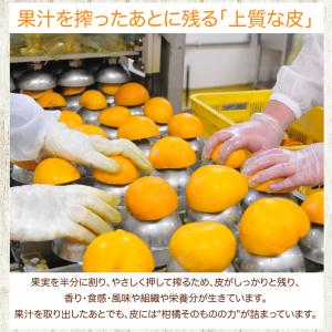 敬老の日 さんぽうかんマーマレード 三宝柑 1...の詳細画像5