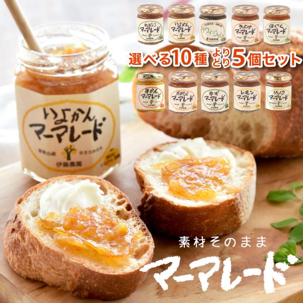 マーマレード みかん 詰め合わせ お試し ポイント利用 5個 入り 140g 国産 伊藤農園