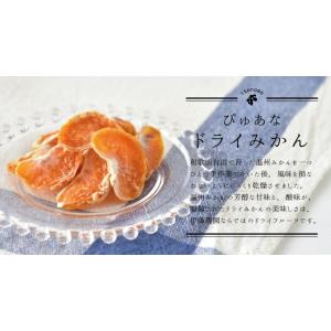 敬老の日 伊藤農園 ドライフルーツ お試し ポ...の詳細画像1