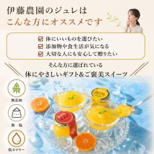 お中元 ギフト プレゼント ゼリー スイーツ ...の詳細画像2