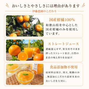 お中元 ギフト プレゼント ゼリー みかんゼリ...の詳細画像4