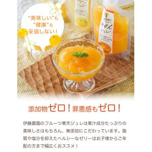 お中元 伊藤農園 不知火ゼリー お試し デコポ...の詳細画像2