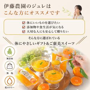 お中元 伊藤農園 ゼリー ギフト みかんゼリー...の詳細画像3
