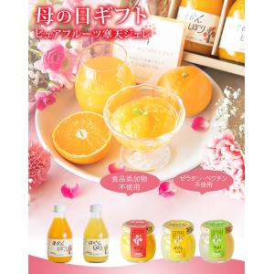敬老の日 母の日 遅れてごめんね ギフト みか...の詳細画像3