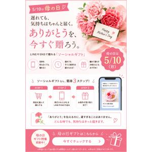 敬老の日 母の日 遅れてごめんね ギフト みか...の詳細画像2