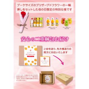 敬老の日 母の日 遅れてごめんね ギフト みか...の詳細画像5
