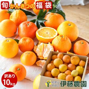 「送料無料」 2月〜7月期間限定 有田みかんの伊藤農園 春か...