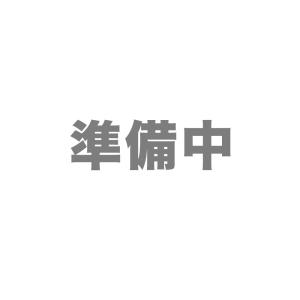 デルフォニックス 2023年 手帳 ダイアリー B6  キトリ 230008-570 ワイン