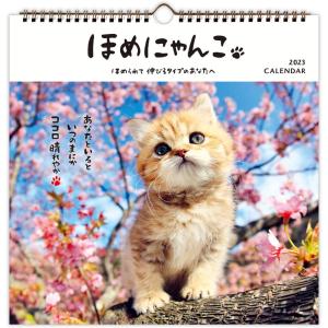 ホールマーク 2023年 壁掛けカレンダー 大 804-589 ほめにゃんこ