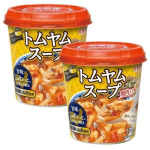 丸美屋 世界のごちそうスープ トムヤムスープ 93g 6個入×2箱 カップ