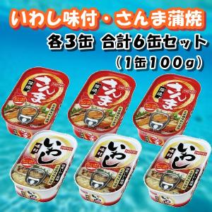 数量限定 缶詰セット さんま 蒲焼 いわし 味付 1缶 100ｇ 各３缶 計 6缶 セット ホテイフーズ ネコポス便 送料無料