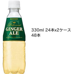 ジンジャエール 330ml PET 24本 2ケース 合計48本　業務用