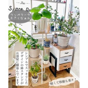 一位獲得 フラワースタンド アイアン 花台 5...の詳細画像3