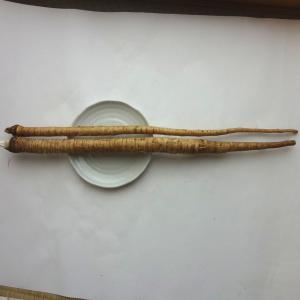 土付きごぼう　2本　九州産、国内産