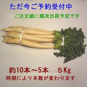 干し大根（漬物用）約５Kg（予約注文受付中。2月13日頃の次回発送予定です。その後10日程度毎に発送します）