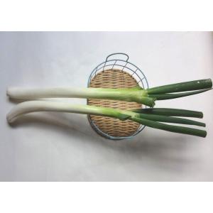 白ネギ（根深ネギ）（２本）　福岡産大分産他r