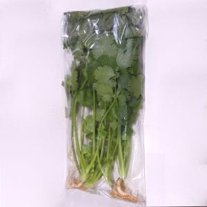 パクチー（コリアンダー）　福岡産