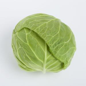早生キャベツ　1個　福岡産
