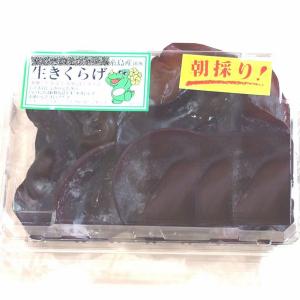 生キクラゲ（木耳）約100ｇ　福岡産