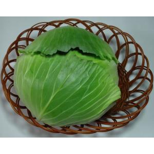 キャベツ　  １個　福岡産、国内産r