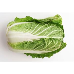 白菜(はくさい）福岡産九州産