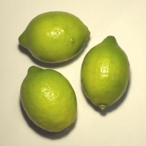 レモン約3個　福岡産、九州産