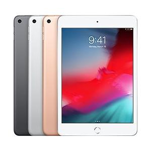 iPad mini 7.9インチ 第5世代 Wi-Fi 256GB 2019年春モデル MUU62J/A ゴールド シルバー