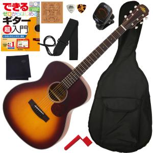 数量限定 アウトレット特価 アリア Aria-101アコースティック