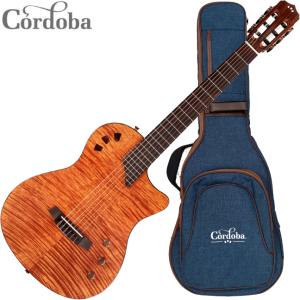 調整済で弾きやすい Cordoba STAGE Guitar : 伊藤楽器 松戸店 - 通販