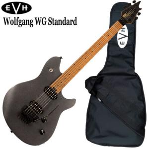 EVH Wolfgang Special, Maple Fingerboard, Gloss Black エレキ