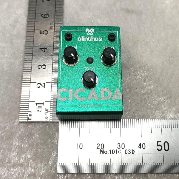 Olinthus CICADA Overdrive-国内正規輸入品-