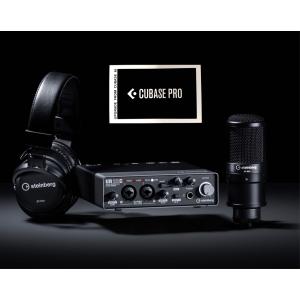Steinberg / CUBASE Artist 12 アカデミック版 国内正規品