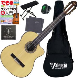 Burswood Acoustic Guitar バースウッド アコースティックギター -n211