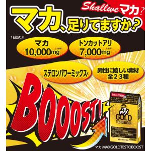 マカ配合サプリメント【マカMAX GOLD T...の詳細画像3