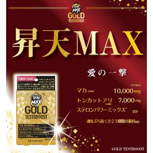 マカ配合サプリメント【マカMAX GOLD T...の詳細画像4