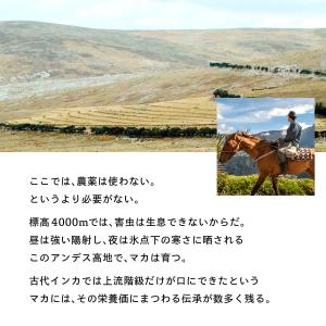 マカドリンク【マカ4400 速攻MAX 1日分...の詳細画像5