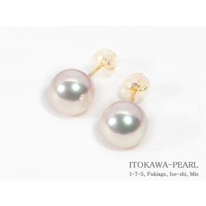 9.1mm】あこや本真珠スタッドピアス K14WG | mtevino.ge