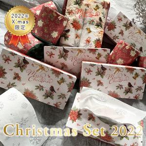 【販売終了】クリスマス ギフトボックス 2022年 ペーパーギフト 日用品セット 10001119 トイレットペーパー ティッシュ [ギフト][熨斗対応] 送料無料