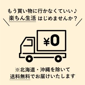 「4月上旬以降出荷」 ペーパータオル 中判 業...の詳細画像4