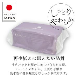 「4月上旬以降出荷」 ペーパータオル 中判 業...の詳細画像5