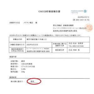 綿の種「和綿・真岡木綿」(30粒)栽培期間中農...の詳細画像4
