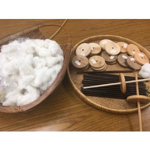 綿の種「和綿・真岡木綿」(30粒)栽培期間中農...の詳細画像5
