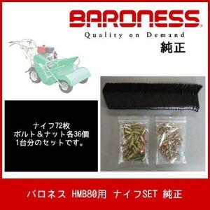 バロネス ハンマーナイフモア HMB1100用【ナイフSET】（ナイフ90枚