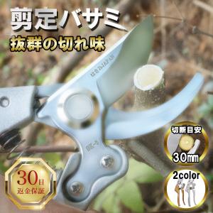 訳アリ 剪定ばさみ 剪定 ハサミ  はさみ  鋏 庭木 枝切　枝切りばさみ　植木  伐採 園芸